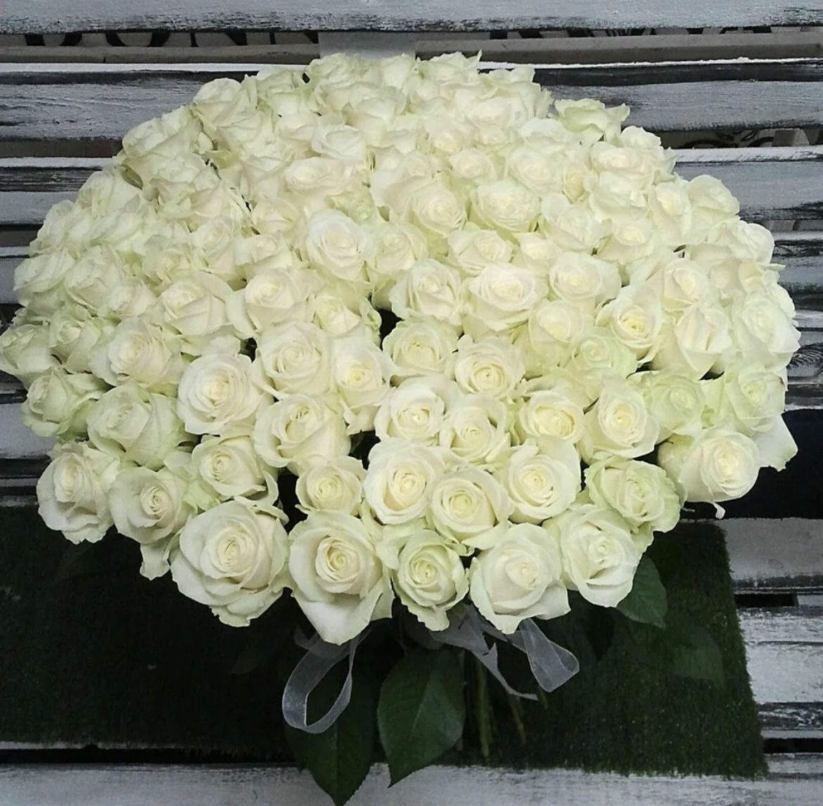 Букет из 301 белой эквадорской розы
